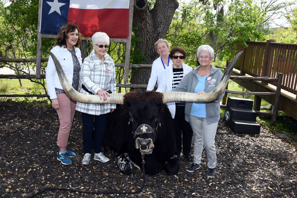 253 Marcia Regier, Frieda Goertzen, Agnes Loukota, Trudy Anderson, Kay Johnson.JPG